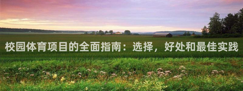 星欧娱乐公司简介