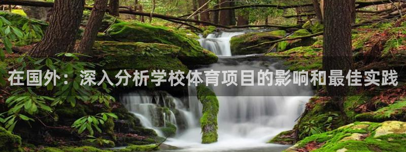 星欧娱乐雀V是什么平台