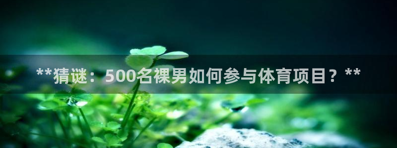 星奥娱乐旗下艺人