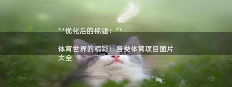 星欧娱乐联最新新闻