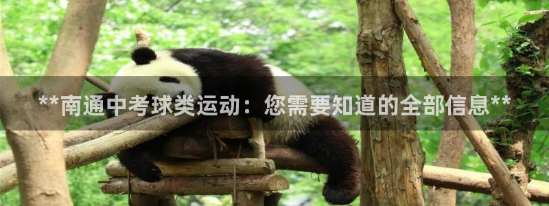 星欧娱乐平台怎么样