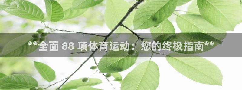 星欧娱乐是正规平台吗安全吗是真的吗