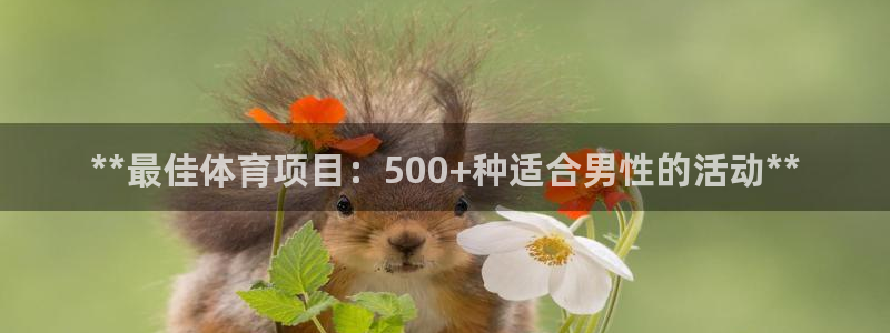 星欧娱乐是正规品牌吗