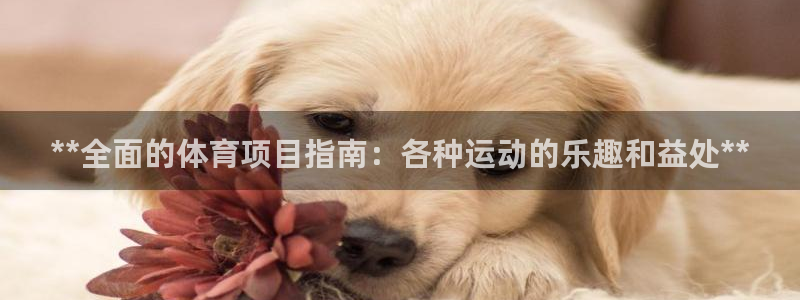 江苏星奥娱乐有限公司怎么样
