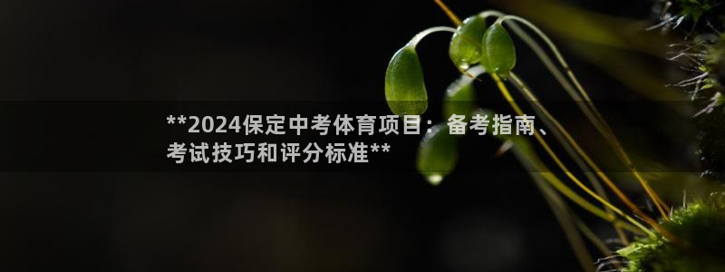 星欧娱乐公司创始人背景故事简介
