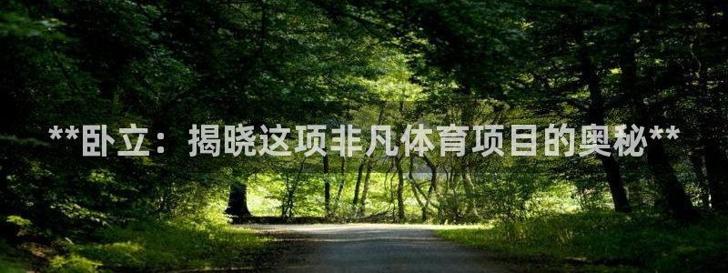 星澳娱乐公司地址