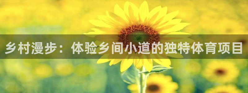 星欧娱乐的官方版本更新内容是什么