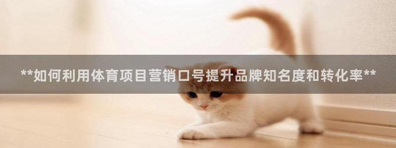 星欧娱乐测速软件下载