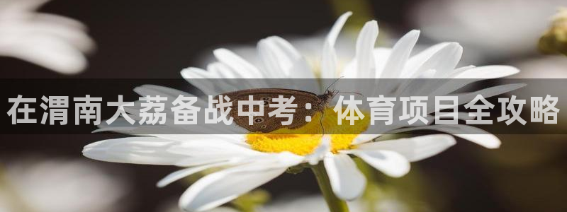 星欧娱乐平台怎么样知乎赚钱吗