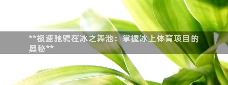 星欧娱乐最建议买的三个产品