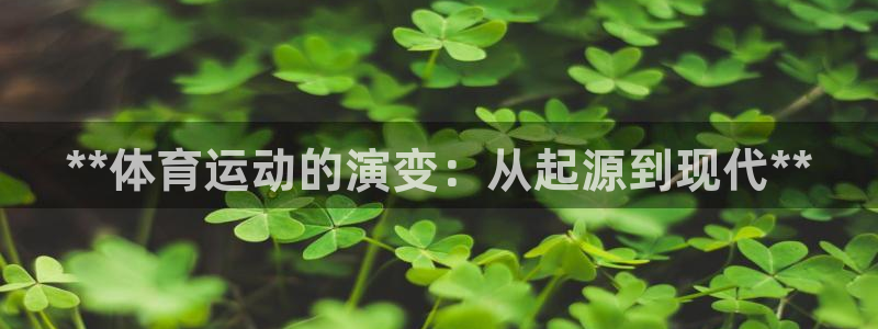 星欧娱乐属于什么档次的公司