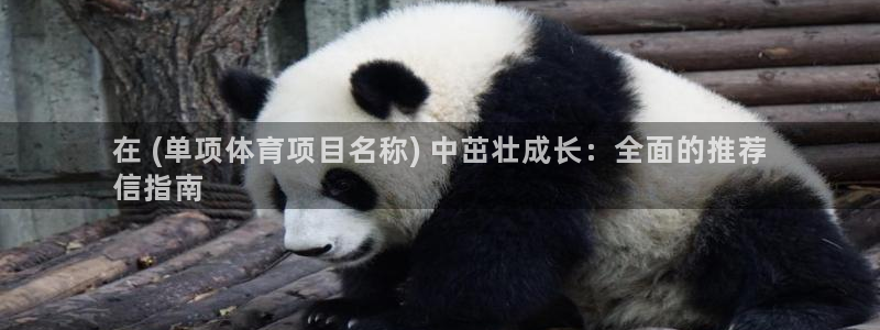 星欧娱乐公司创始人背景故事是什么