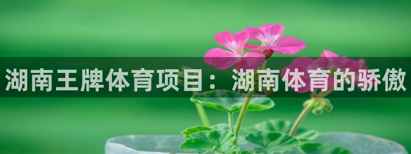 星欧娱乐扣款时间查询方法