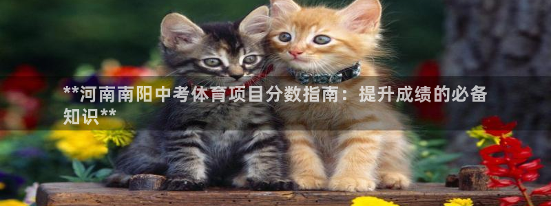 传奇星娱乐