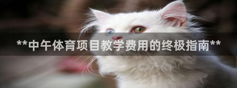 星欧娱乐公司创始人背景故事