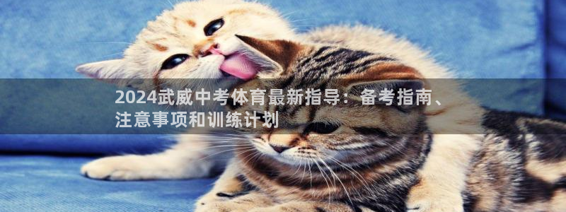 星欧娱乐公司简介
