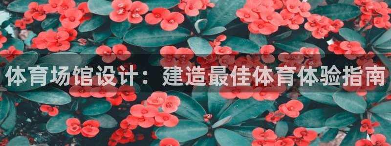 星欧娱乐挂机赚钱是真的吗