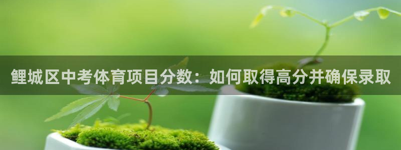 星欧娱乐发7O777