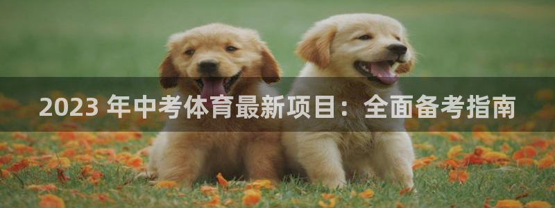 星欧娱乐信存手机版下载
