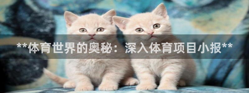 星欧娱乐官方客服联系方式