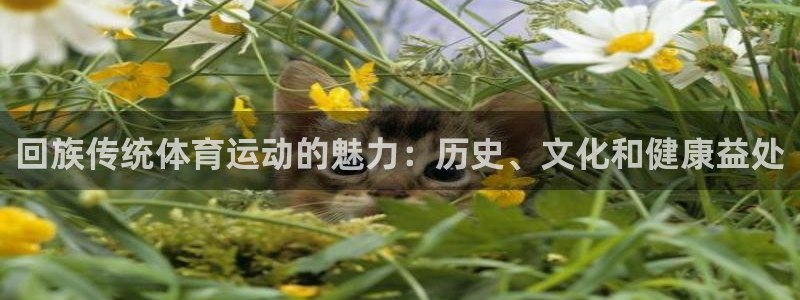 星欧娱乐平台怎么样知乎