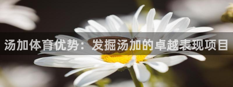 星奥娱乐微博