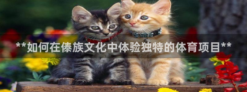 星欧娱乐最建议买的三个游戏是什么