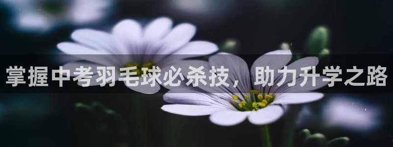 星欧娱乐最建议买的三个产品是什么