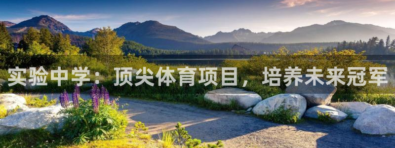 星奥娱乐集团股份有限公司