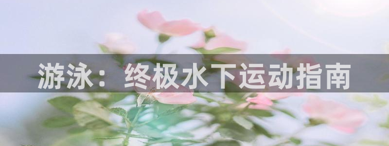 星欧娱乐扣款流程详解图高清