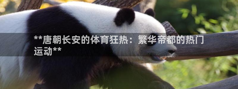 星欧娱乐扣款时间查询方法