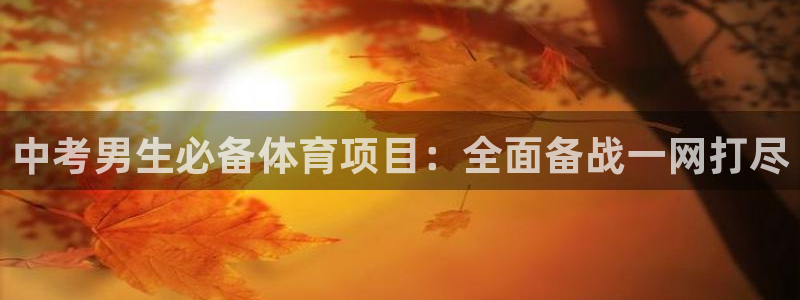 星欧娱乐扣款流程详解视频下载