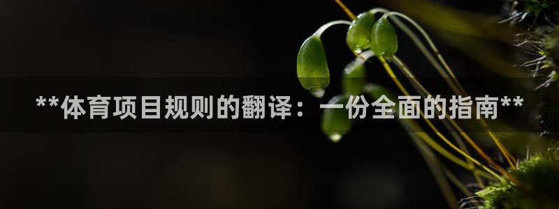 星欧娱乐方7O777