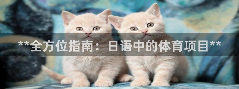 星欧娱乐平台怎么样