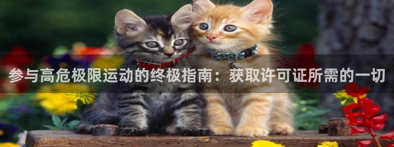 星欧娱乐是正规平台吗安全吗是真的吗