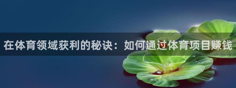 星奥娱乐集团是国企吗