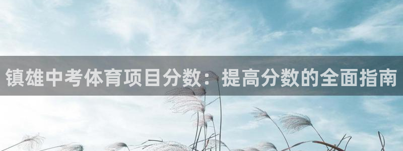 星娱乐是谁的公司