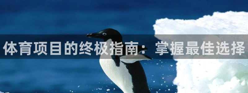 星娱乐online