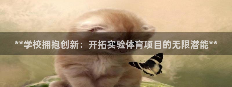 星欧娱乐平台地7O777