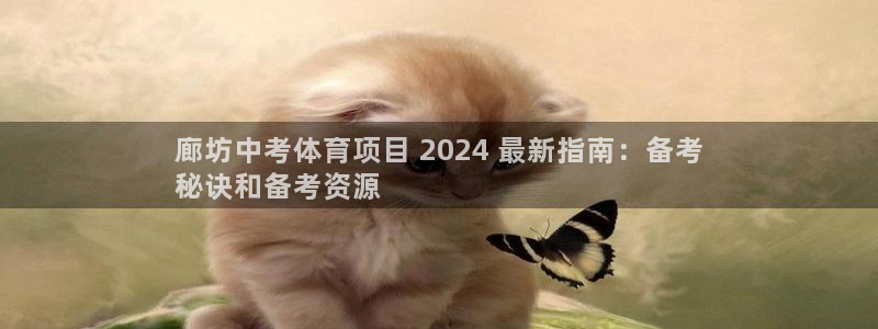 星欧娱乐属于什么档次的公司