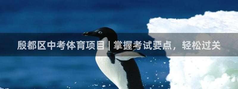 星欧娱乐平台地7O777