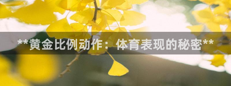 星欧娱乐平台怎么样知乎赚钱吗