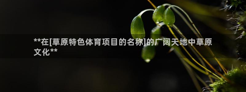 星欧娱乐官方客服联系方式电话