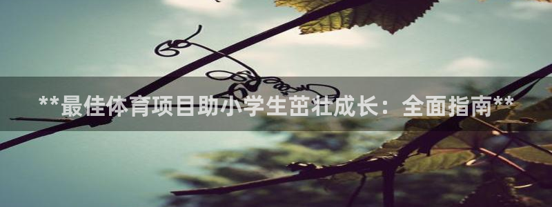 星欧娱乐银行卡怎么登录