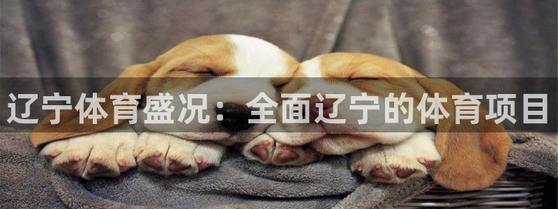 星欧娱乐扣款时间查询方法是什么呢