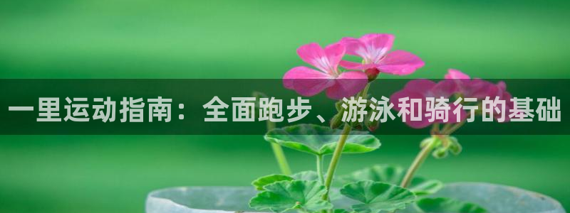 星欧娱乐平台道7O777