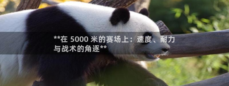 星欧娱乐彩票软件下载