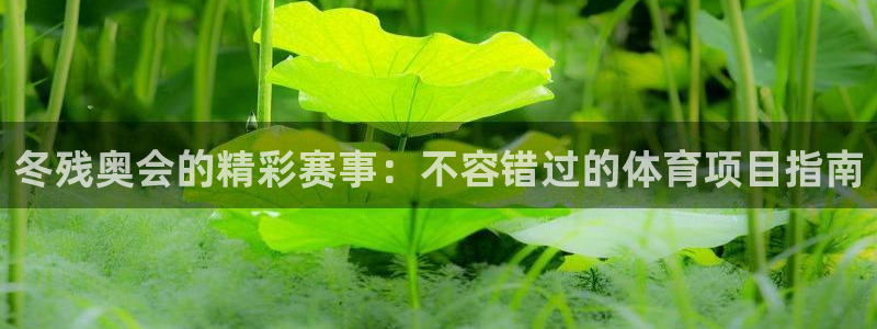 星欧娱乐法711.112不退款后果
