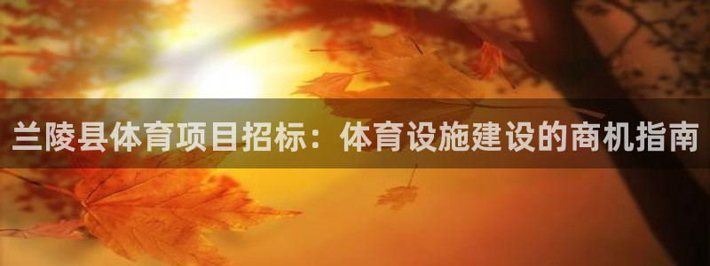 星娱乐online