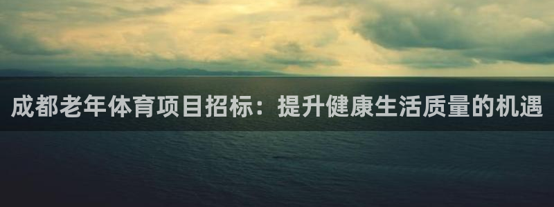 星欧娱乐的官方版本更新内容